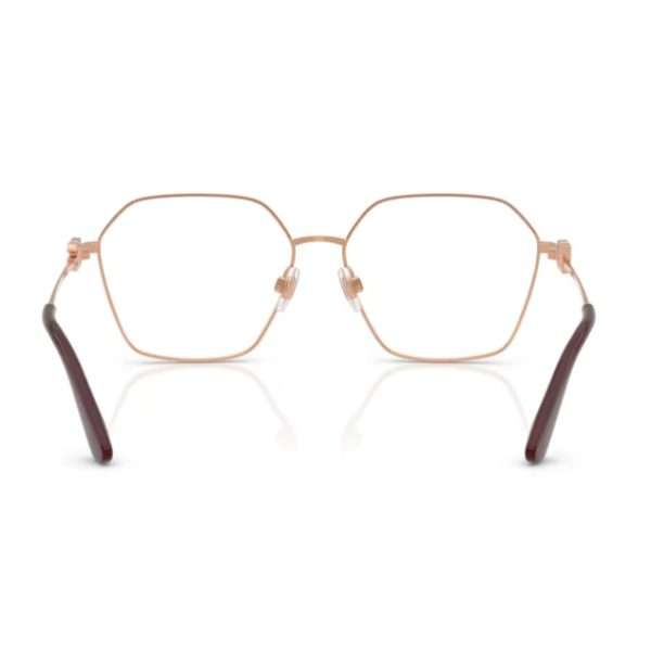 Dolce & Gabbana DG1366 1351