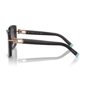Tiffany & Co. TF4199 80013C - Negru