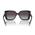 Tiffany & Co. TF4199 80013C