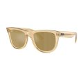 Ray-Ban RBR0502S 68215A Wayfarer Reverse - Marimea 53