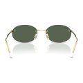 RAY-BAN-RB3767-001-71-Marimea-54-3